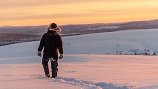 Terre rare in Svezia