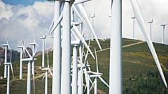 Finland’s wind power capacity increased by 75 per cent last year.