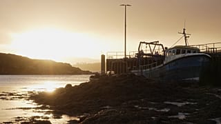 La lenta muerte de la industria pesquera irlandesa tras el Brexit