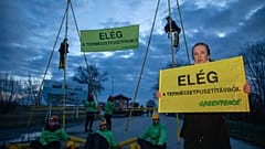 Udvaros Dorottya színésznő is a Fertő-tó védelméért küzd