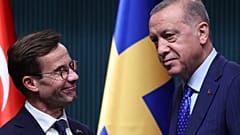الرئيس التركي رجب طيب أردوغان، ورئيس الوزراء السويدي، أولف كريسترسون، خلال زيارته لتركيا. أنقرة، تركيا، نونبر/تشرين الثاني 2022
