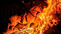 Задача наездника — заставить лошадь преодолеть естественный страх перед огнём