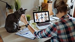 The Netherlands leads the way for working from home in Europe