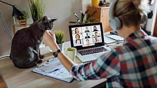 The Netherlands leads the way for working from home in Europe