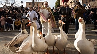 Ein Priester segnet eine Gänseschar während der traditionellen "Beneides" auf Mallorca.