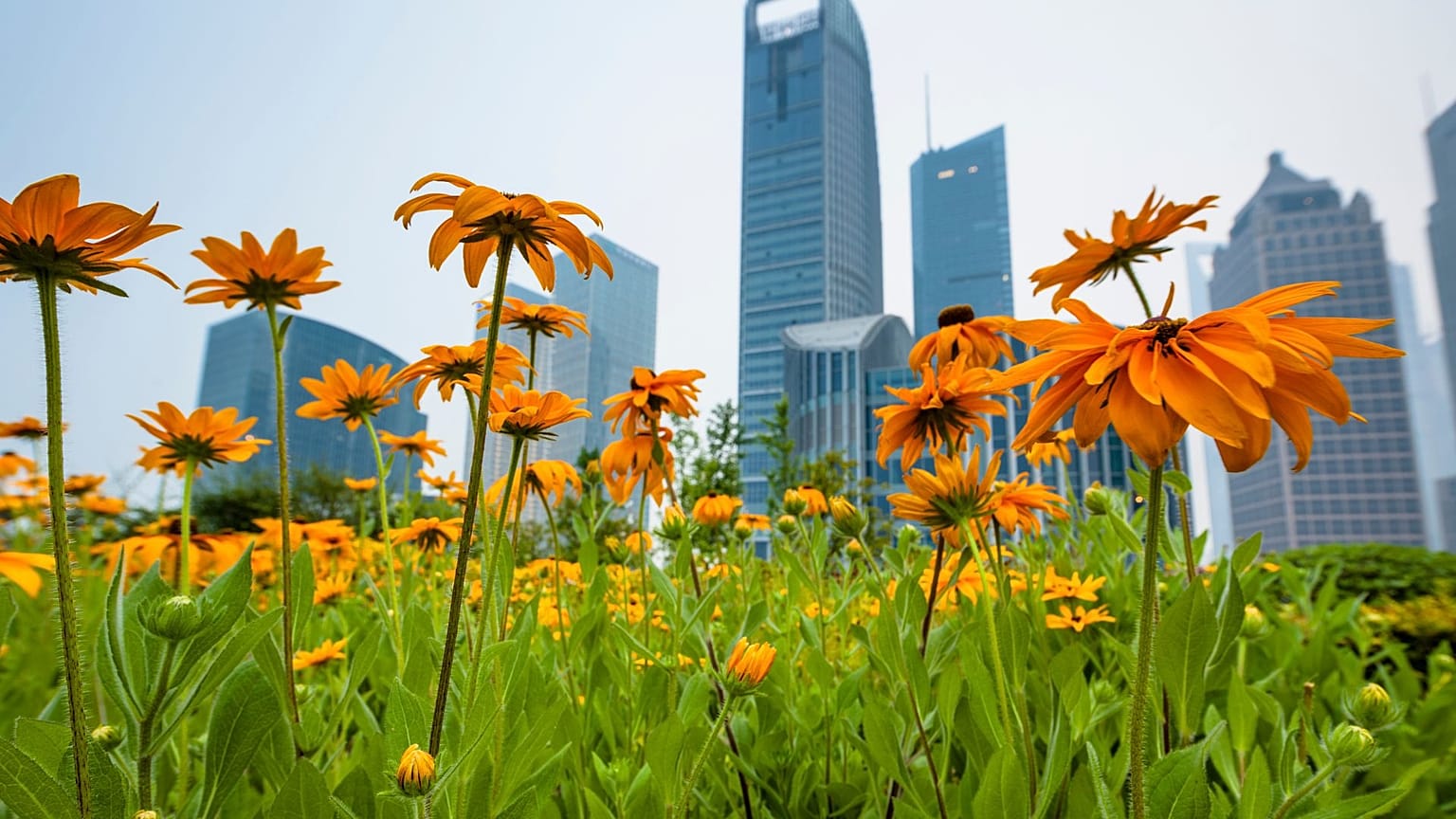 Visiting green spaces can be beneficial for a person's mental and physical health.