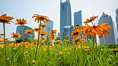 Visiting green spaces can be beneficial for a person's mental and physical health.