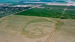 A cornfield features an image of Argentine soccer player Lionel Messi in Cordoba, Argentina