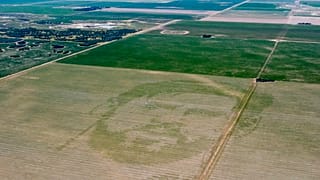 A cornfield features an image of Argentine soccer player Lionel Messi in Cordoba, Argentina