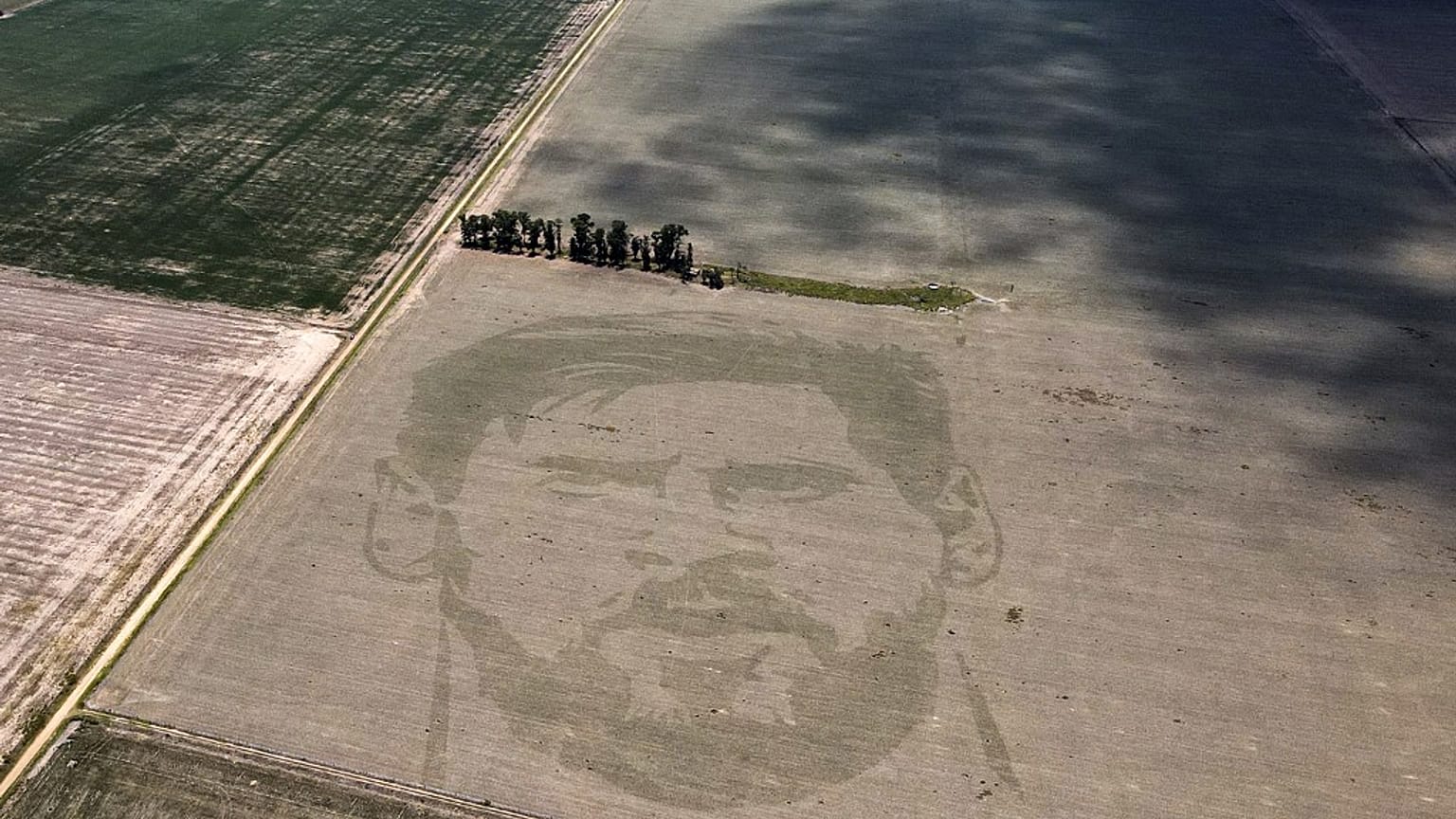 Le visage de Lionel Messi dans un champ de maïs