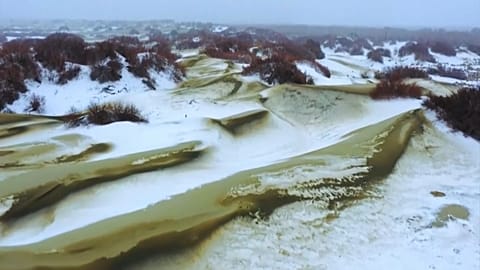 Blanketing the golden sand with silver coat, the large-scale snowfall helped the desert present special colors across the area.