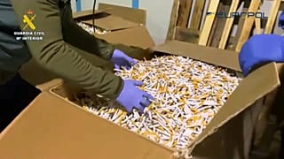 Фабрики производили более полумиллиона пачек в день