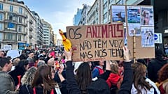 People demonstrate for animal rights in Lisbon, Portugal, 21 January 2023. 