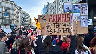 People demonstrate for animal rights in Lisbon, Portugal, 21 January 2023.