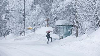 Snowfall