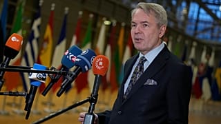Finlandiya Dışişleri Bakanı Haavisto