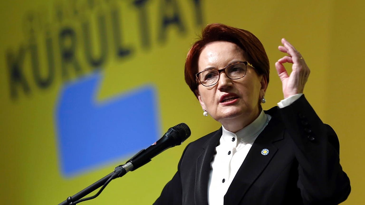 İYİ Parti lideri Meral Akşener