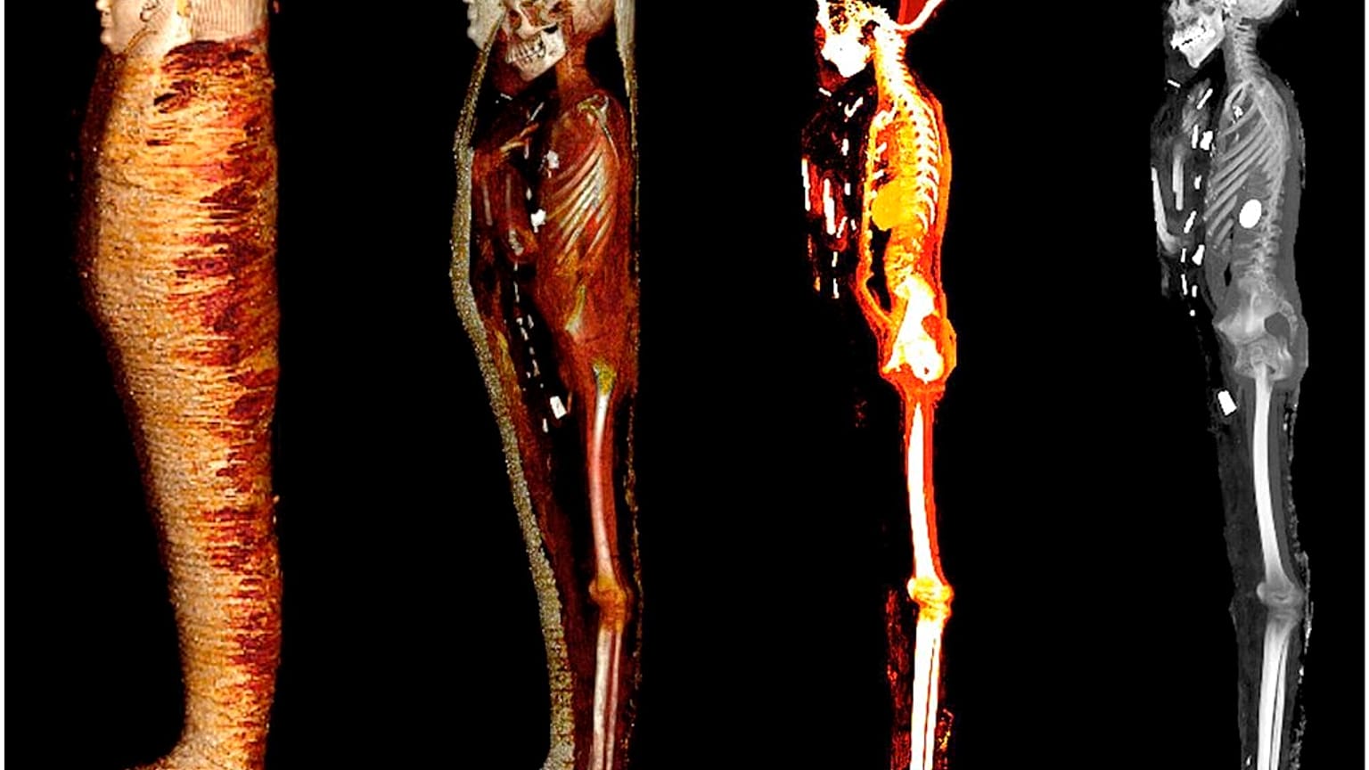 Φωτογραφία από τις αιγυπτιακές αρχές για την ανακάλυψη της μούμιας