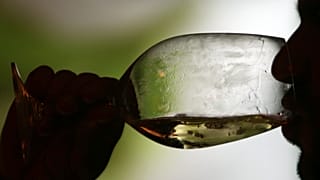 Una persona bebe vino portugués
