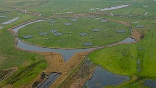 LOFAR: európai szem az univerzum felfedezéséhez