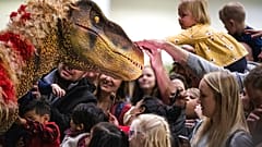 Dinosaurier faszinieren die Kinder
