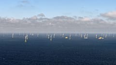The German cabinet has approved EU emergency measures to push the country's renewables expansion.