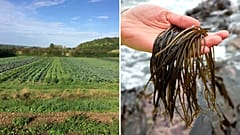 A veganic farm and a Scottish harvester are among the winners of PETA’s new Farming Award.