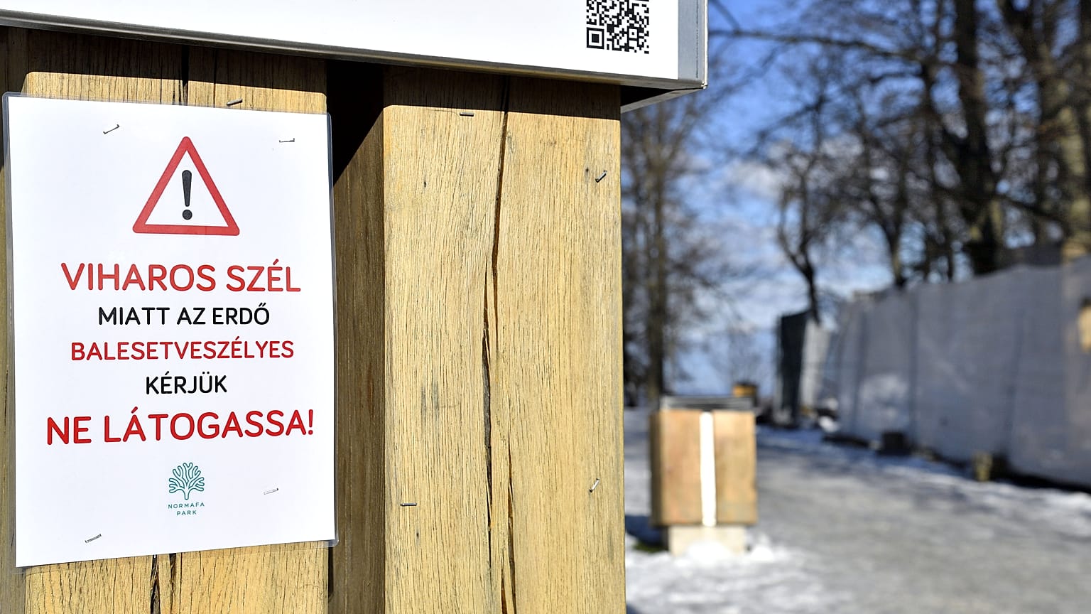 A viharos szél miatt a Normafát is lezárták szombaton