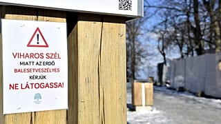 A viharos szél miatt a Normafát is lezárták szombaton