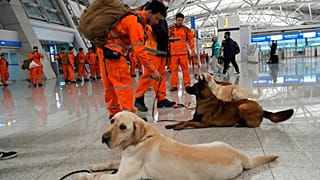 Aiuti umanitari, personale e cani addestrati