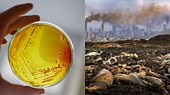To limit the emergence and spread of antimicrobial resistance, we must cut environmental pollution off at source.
