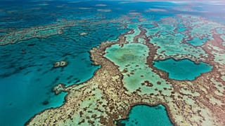 The Australian government has blocked a proposed coal project just 10km from the Great Barrier Reef.