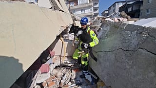 Mentőkutya akcióban 