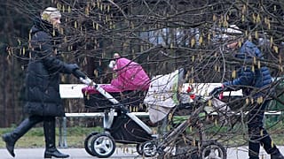 Жители Варшавы с колясками в парке