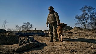 A soldier of the Ukrainian 3rd Army Assault Brigade stands by a trench in position near Bakhmut, Donetsk region, Ukraine, 11 February, 2023