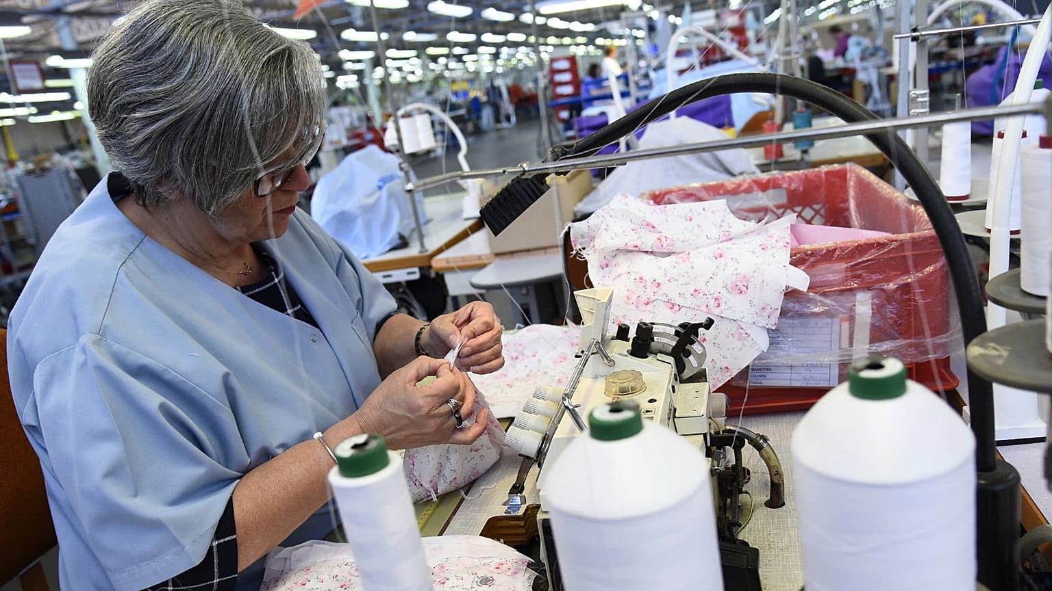 The latest data on elderly workers in Europe shows a notable rise in those working beyond 65 or even 75.