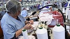 The latest data on elderly workers in Europe shows a notable rise in those working beyond 65 or even 75.