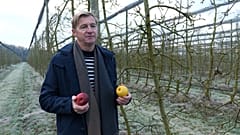 Wärmere Winter sind ein wachsendes Problem für Obstproduzenten