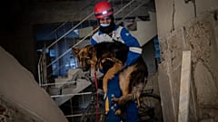 HAYTAP tarafından kurtarılan köpek