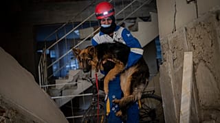 HAYTAP tarafından kurtarılan köpek