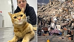 Talia the cat was rescued with a broken hip. | Kahramanmaraş, southeastern Turkey, 13 February 2023.