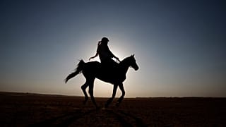 فارس يمتطي صهوة جواده شرقي الرياض. 2009/01/27