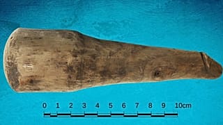 Araştırmacılar bulunduğunda örgü aleti olduğu düşünülen objenin seks oyuncağı olabileceğini ileri sürüyor