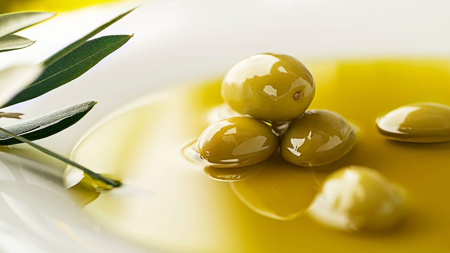 عکس تزئینی