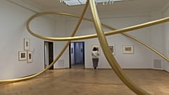 Кадр из видео, Гаага, Нидерланды, 20 февраля 2023 г.