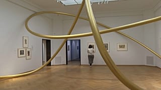 Кадр из видео, Гаага, Нидерланды, 20 февраля 2023 г.
