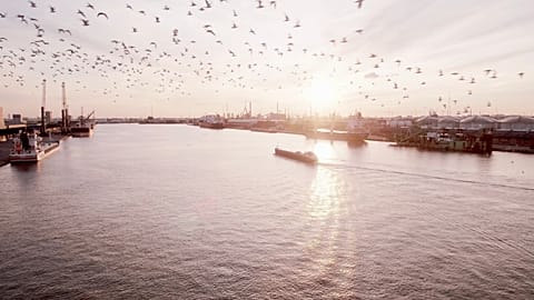 Port behind 10% of Belgium's CO₂ emissions pioneers carbon-slashing tech, aiming at net zero by 2050