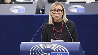 Avrupa Parlamentosu milletvekili Stefania Zambelli