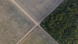 A section of Amazon rainforest stands next to soy fields in Belterra, Para state, Brazil.