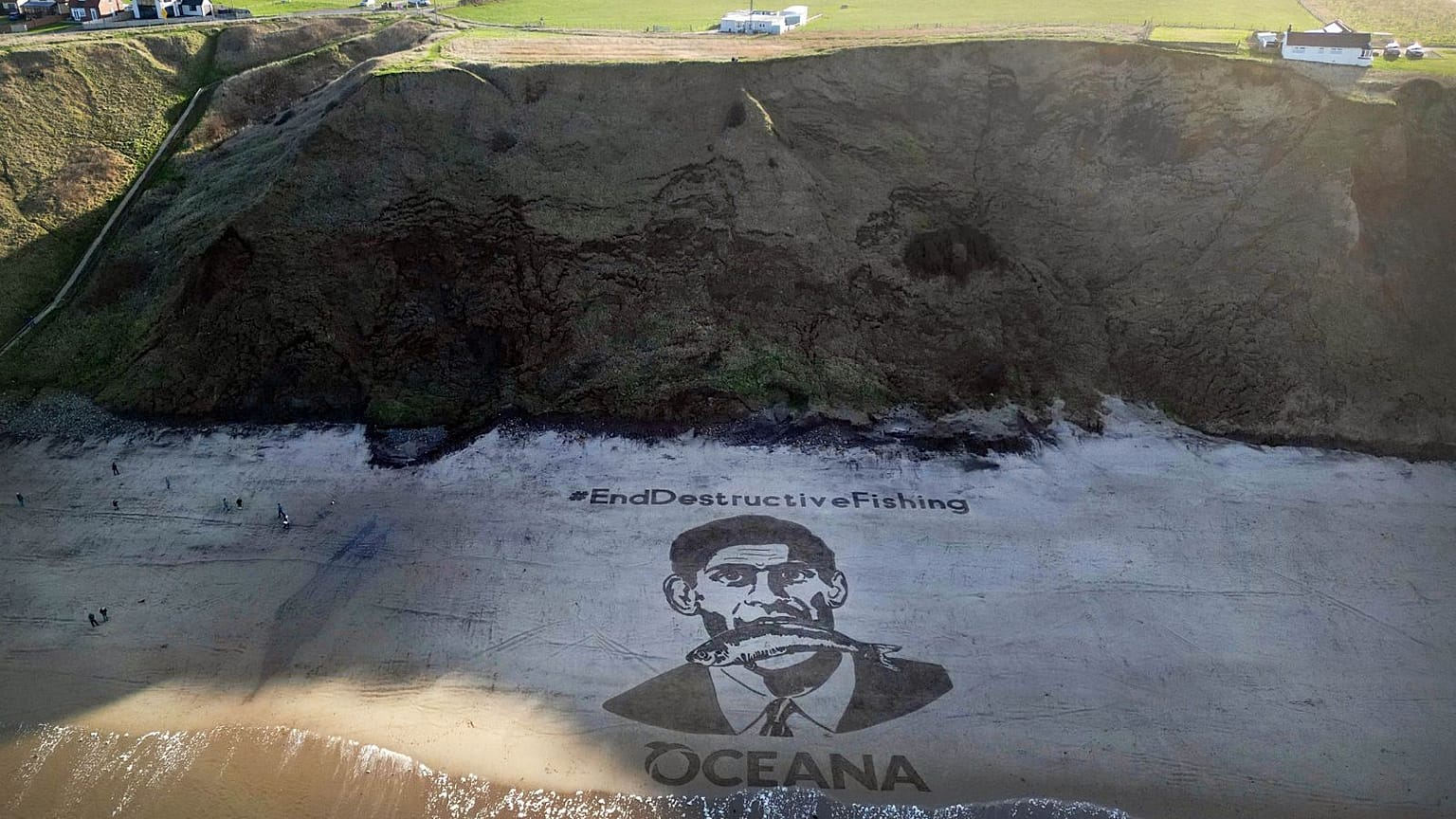 Oceana UK are campaigning for bottom trawling to be banned in all UK Marine Protected Areas by 2024